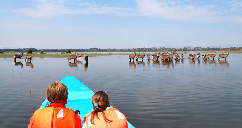 1-Day-Lake-Naivasha-with-boat-ride-mbui-nzau